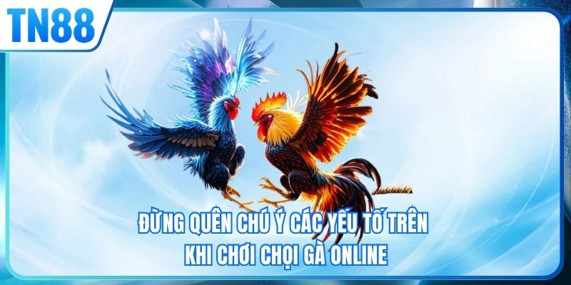 Đừng quên chú ý các yếu tố trên khi chơi chọi gà online