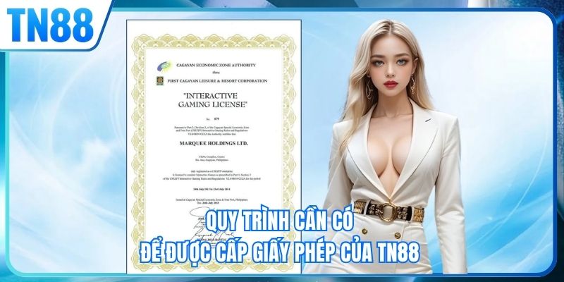 Quy trình cần có để được cấp giấy phép của TN88